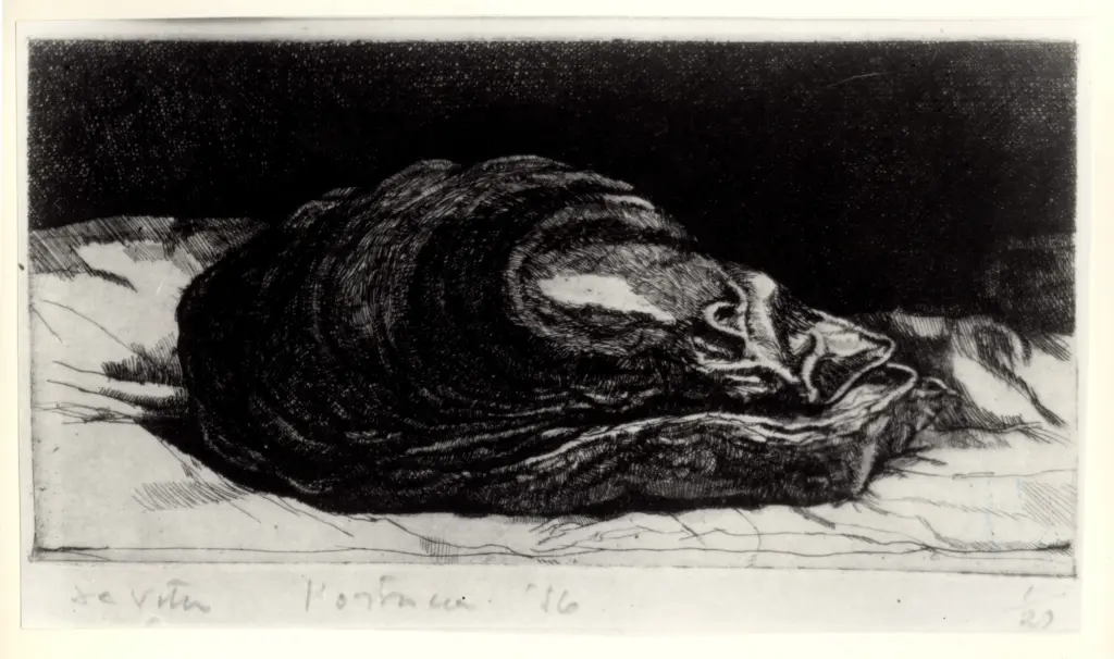 De Vita, Luciano , L'ostrica -