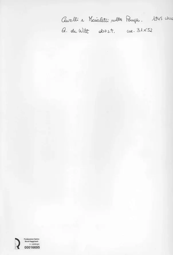 Anonimo, Anonimo , retro