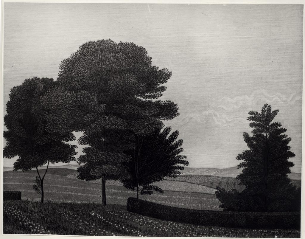 Giacomelli , fronte
