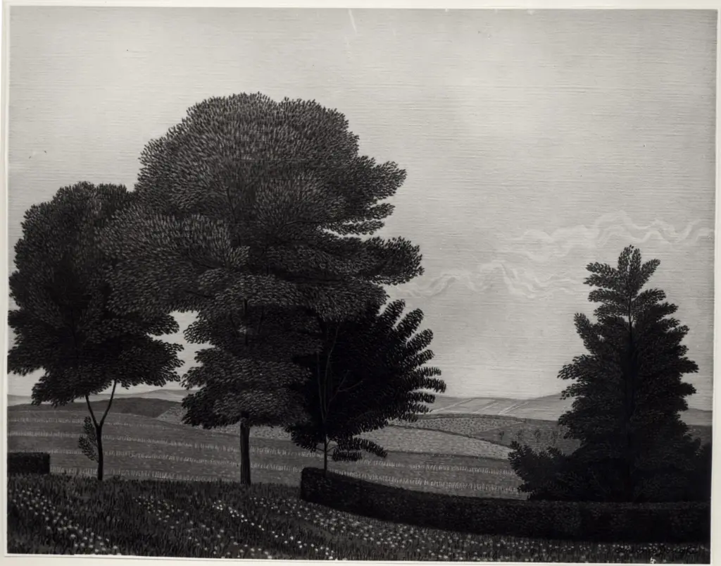 Donghi, Antonio , Paesaggio