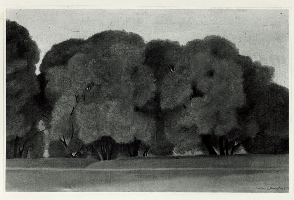 Foto Barsotti , fronte