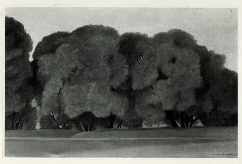 Foto Barsotti , fronte