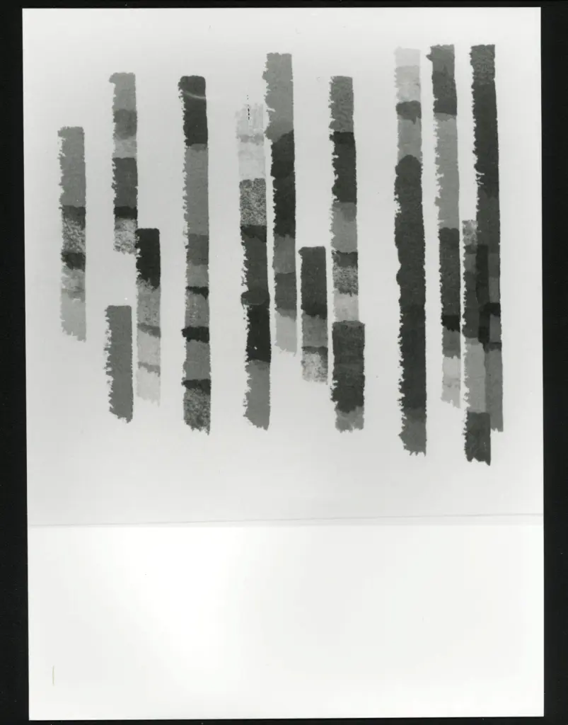 Anonimo, Anonimo , fronte