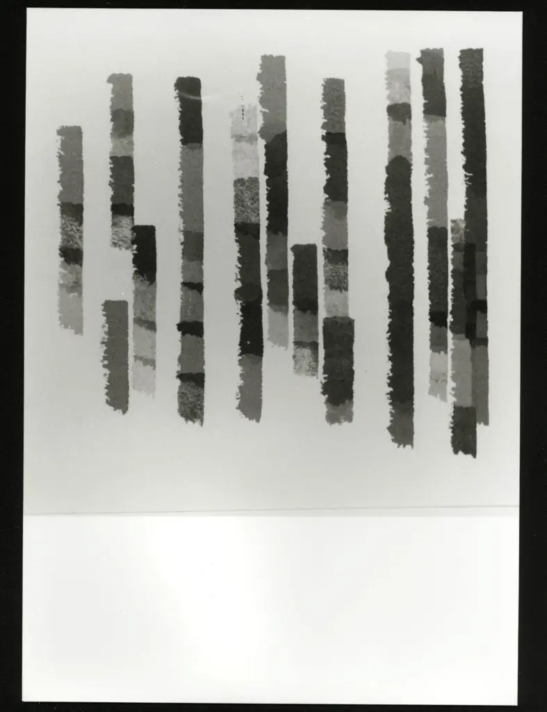 Anonimo, Anonimo , fronte