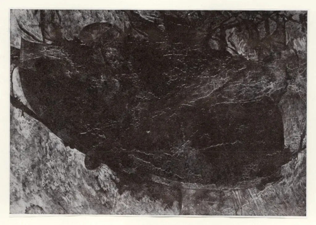 Anonimo, Anonimo , fronte