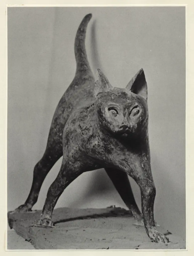 Anonimo, Anonimo , fronte