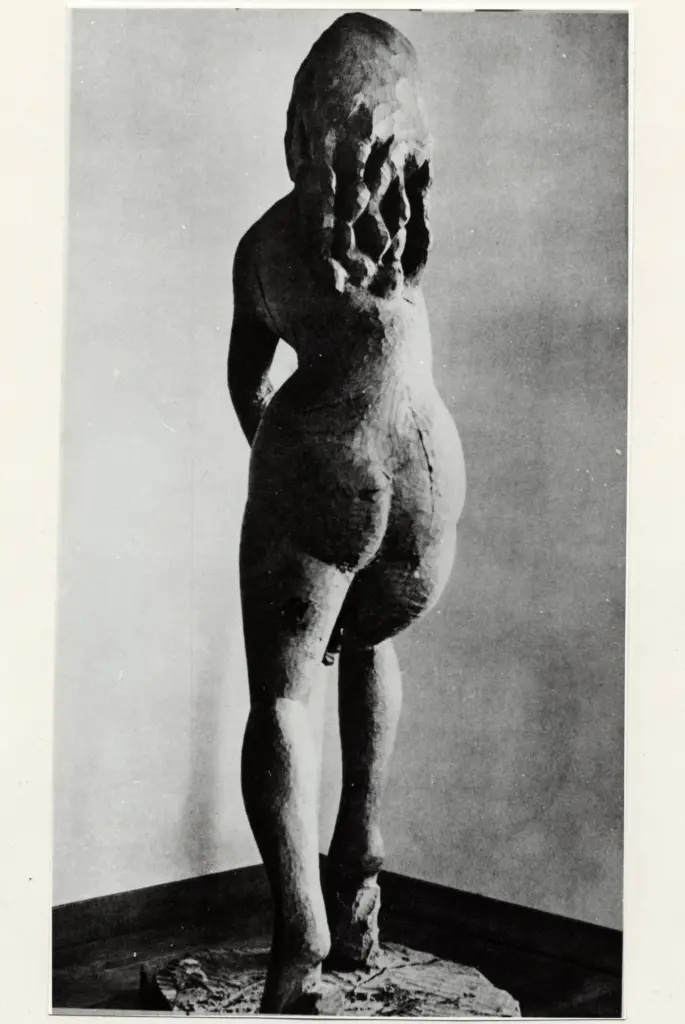 Anonimo, Anonimo , fronte