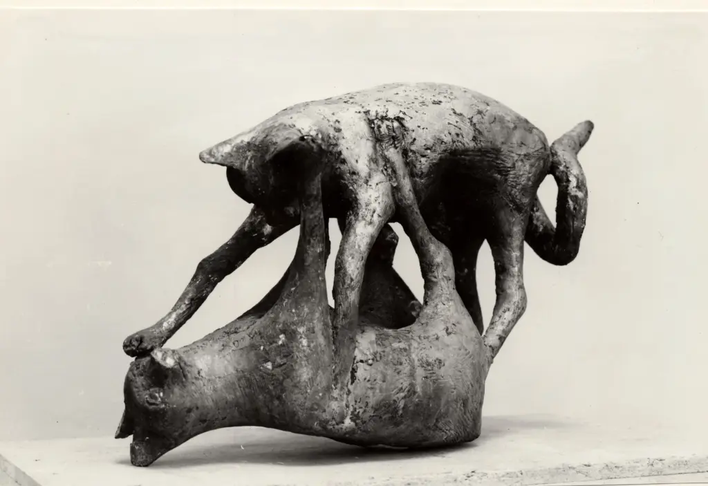 A.F.I. Agenzia Fotografica Industriale , fronte