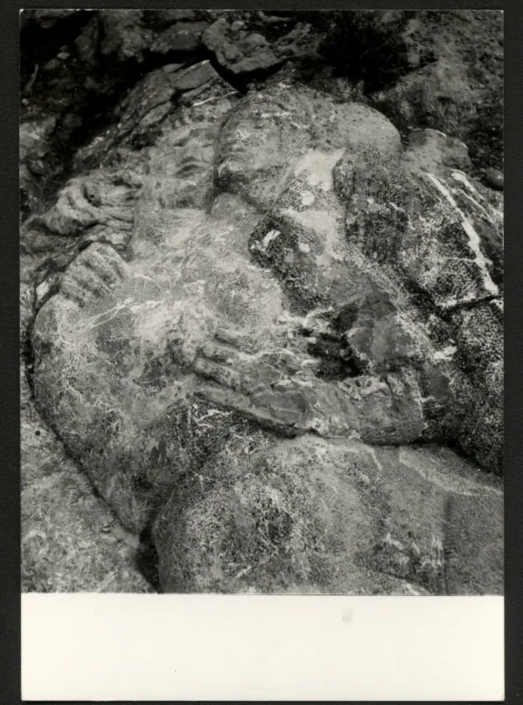 Anonimo, Anonimo , fronte