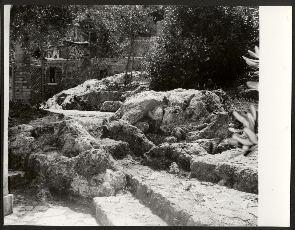 Marelli, Pietro , fronte