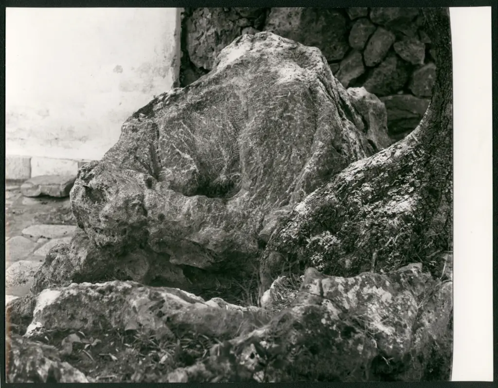 Marelli, Pietro , fronte