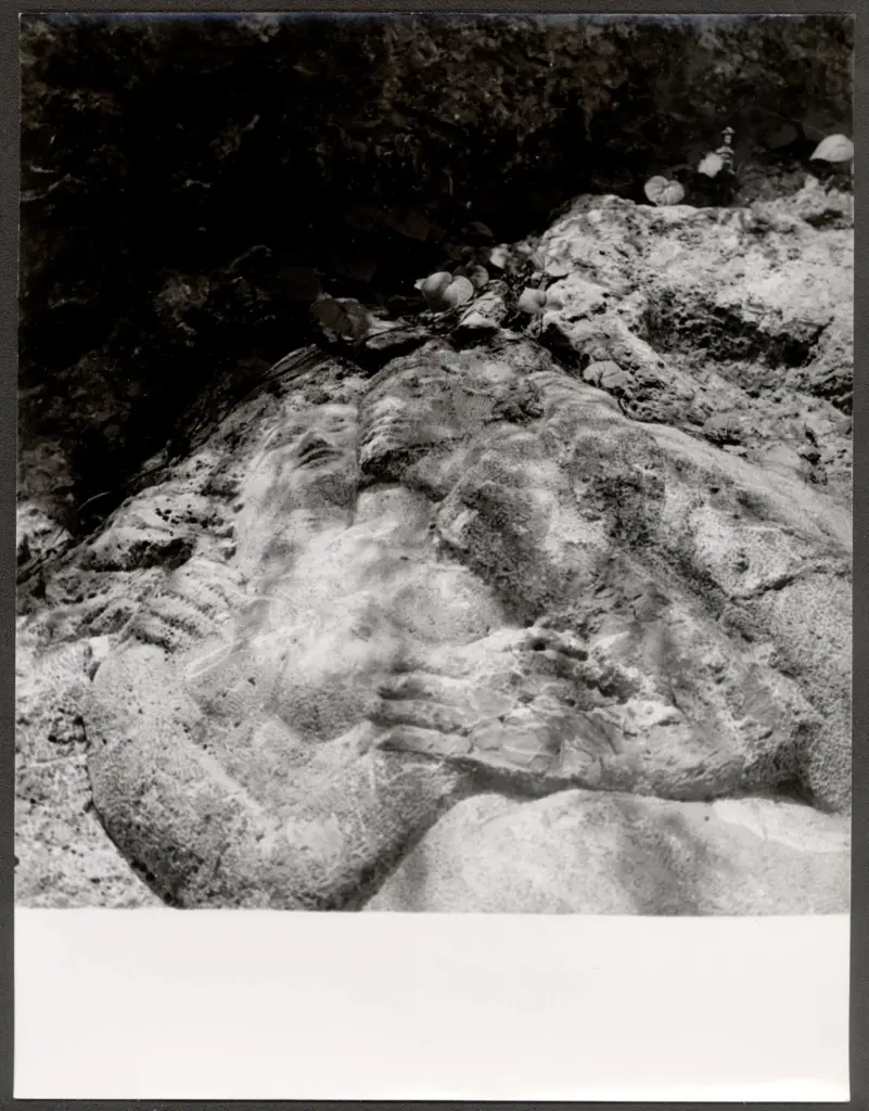 Marelli, Pietro , fronte