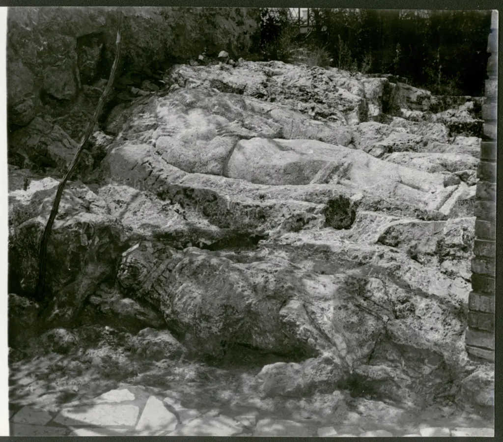 Marelli, Pietro , fronte