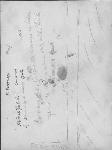 Danesin, Menotti , retro