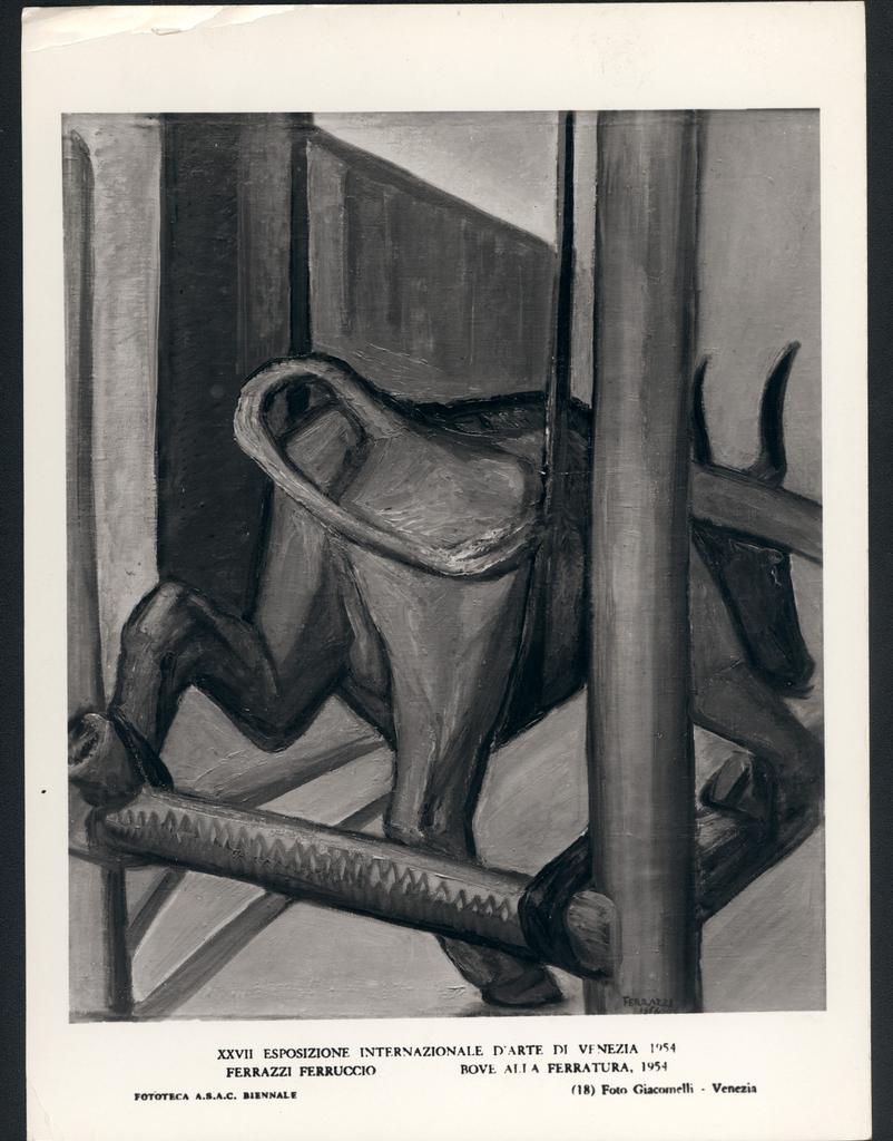Giacomelli , fronte