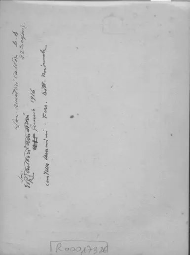 Anonimo, Anonimo , retro