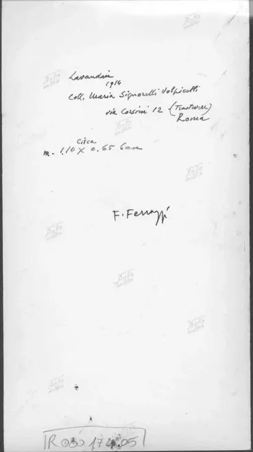 Anonimo, Anonimo , retro