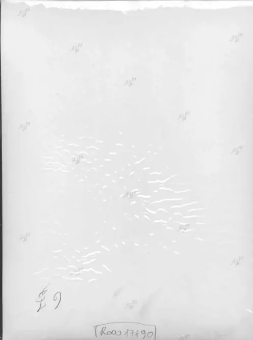 Anonimo, Anonimo , retro