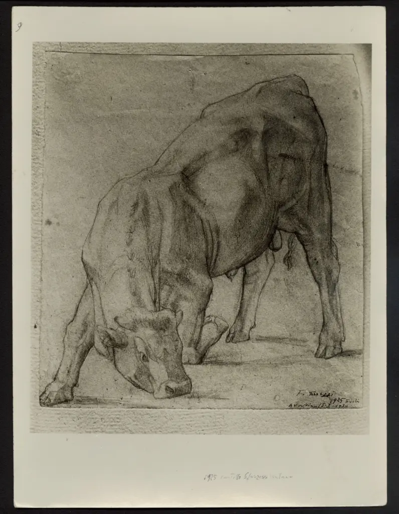 Fabbri, Manuela , fronte