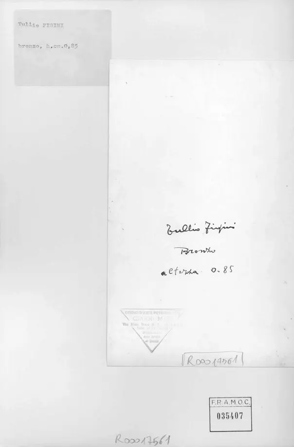 Anonimo, Anonimo , retro