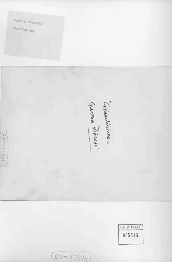 Anonimo, Anonimo , retro