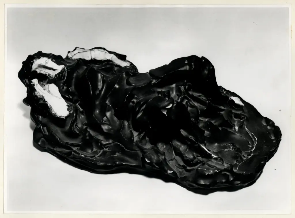 Universit&agrave; di Pisa. Dipartimento di Storia delle Arti&nbsp; , Fontana, Lucio - sec. XX , fronte