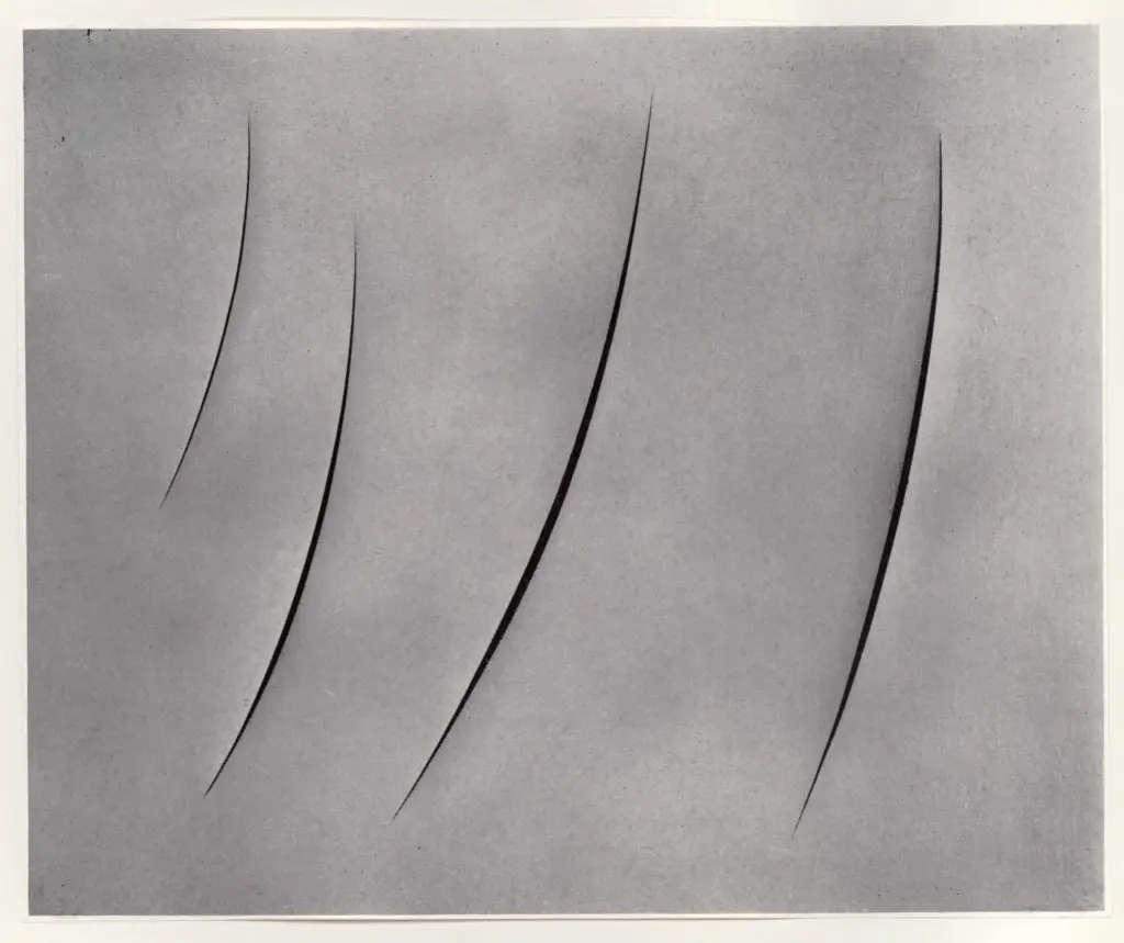 Anonimo, Anonimo , fronte