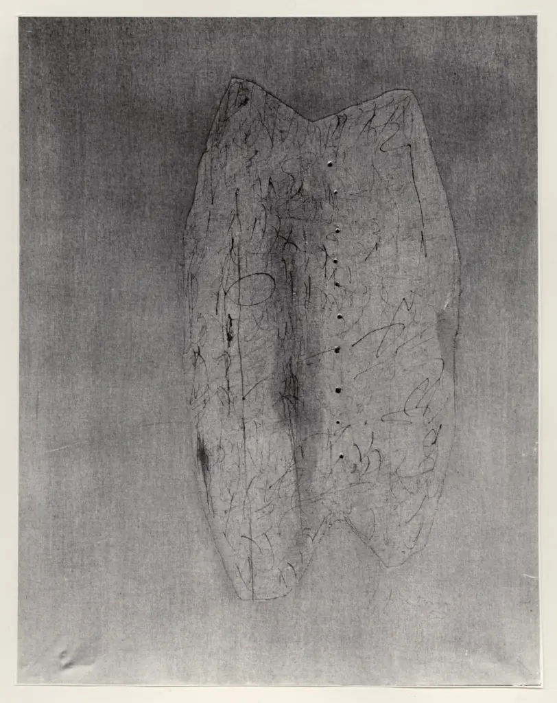 Fotografia Ferruzzi , fronte