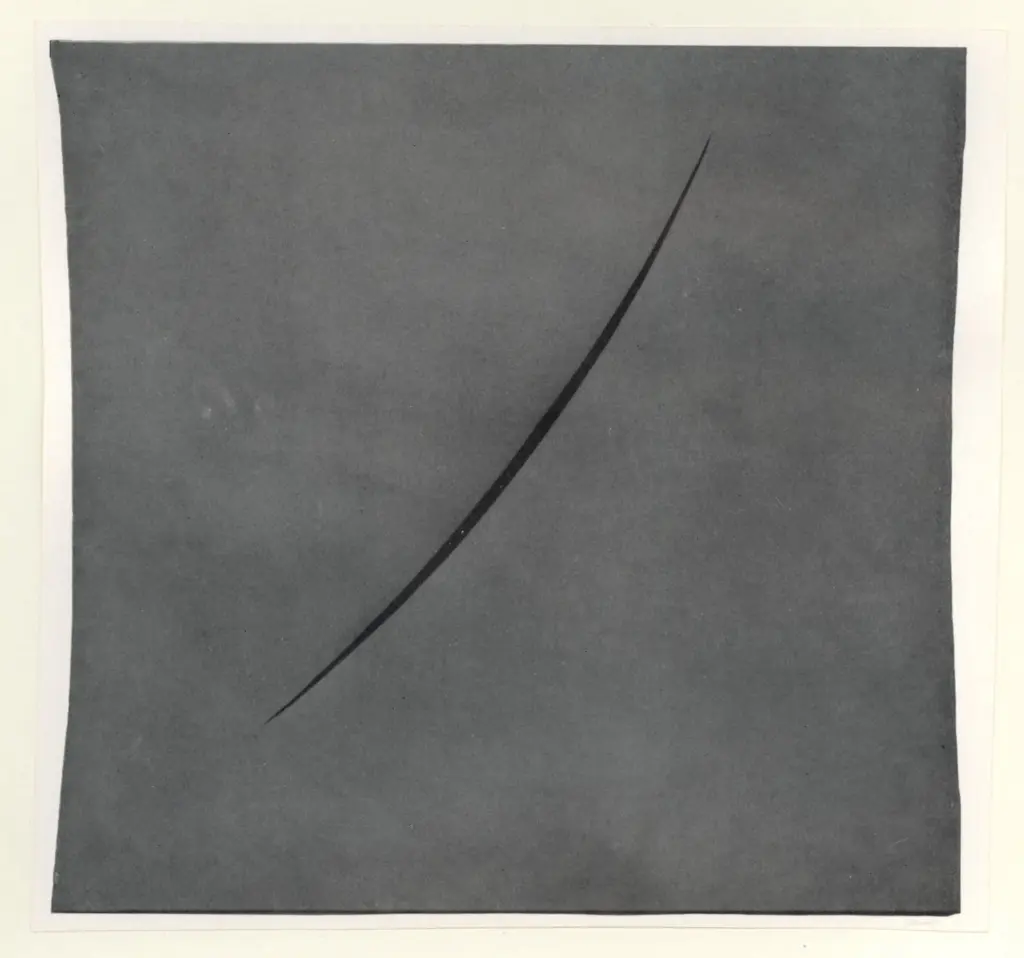 Anonimo, Anonimo , fronte