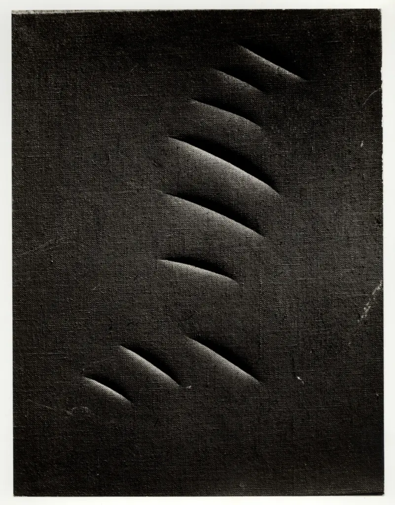 Anonimo, Anonimo , fronte