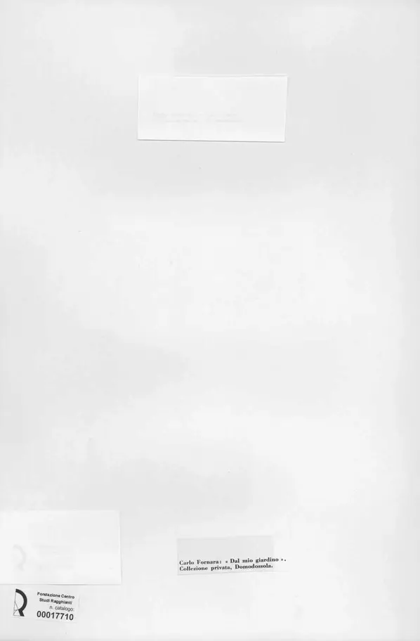 Anonimo , Fornara, Carlo - -