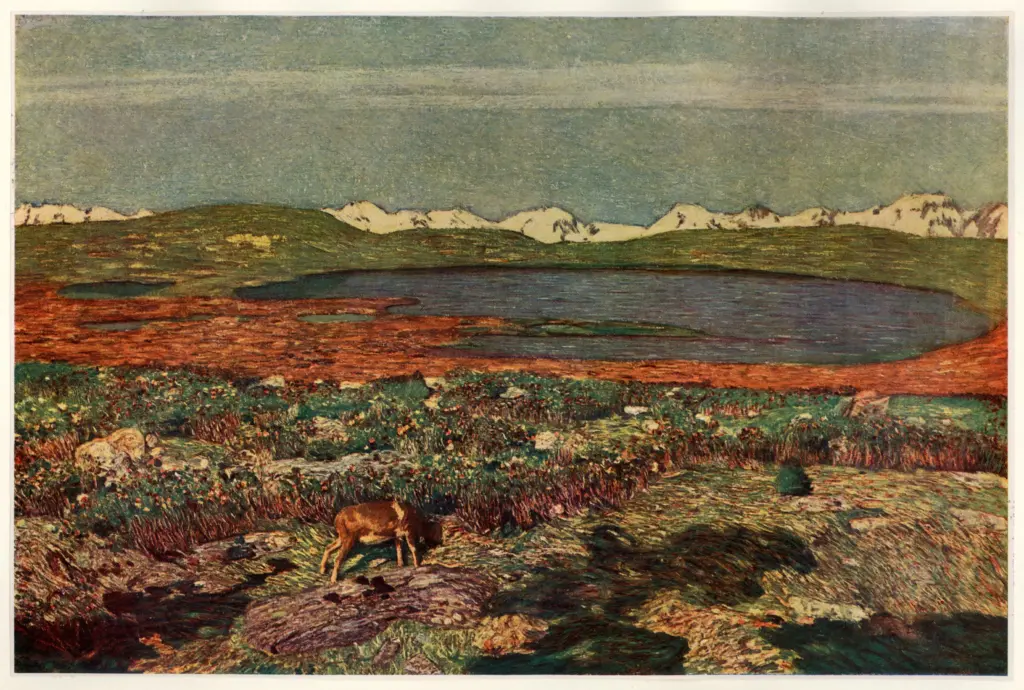 Fornara, Carlo , Laghetto alpestre