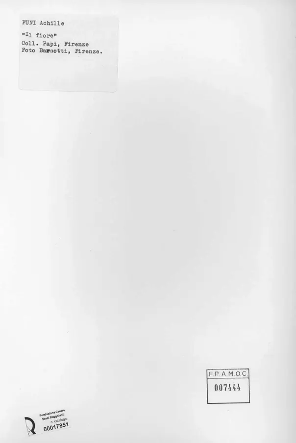 Foto Barsotti , retro