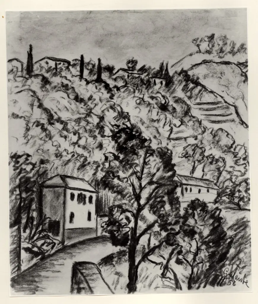 Fotografia Ferruzzi , fronte