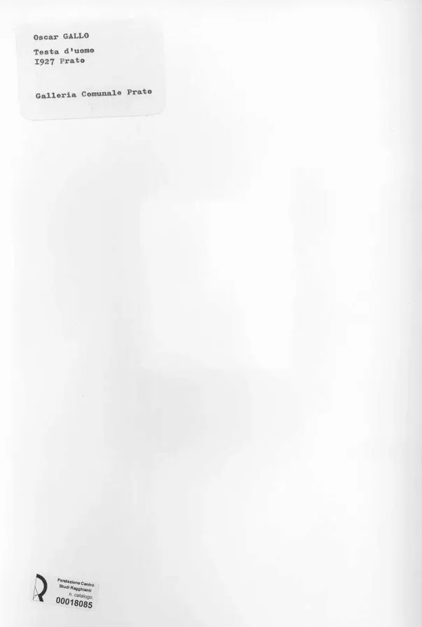 Anonimo , Gallo, Oscar - sec. XX - Testa d'uomo , retro