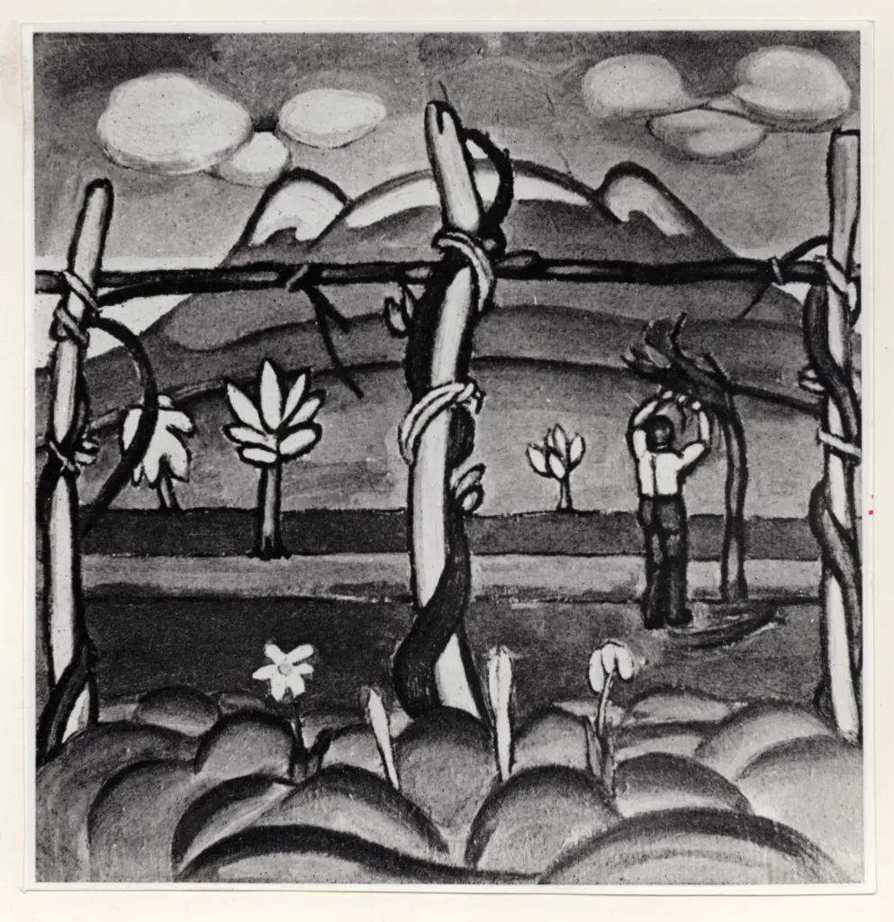 Anonimo , Garbari, Tullio - sec. XX - Vigna , fronte