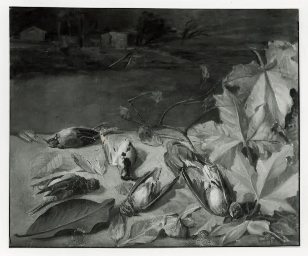 Anonimo, Anonimo , fronte