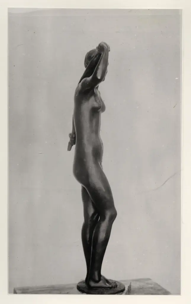 Anonimo, Anonimo , fronte