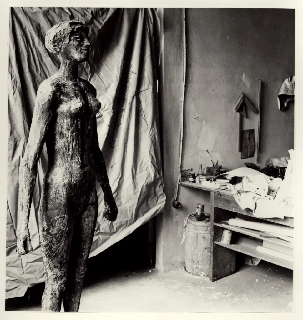 Wiegman, Jenny , Nuotatrice -