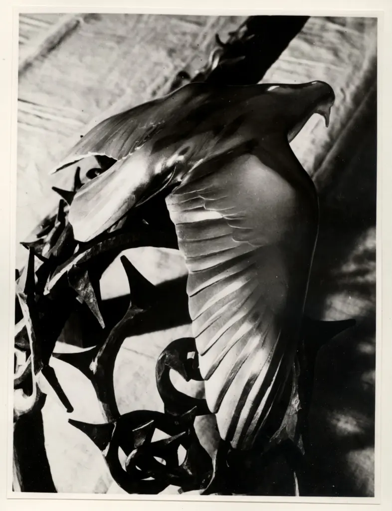 Anonimo , Geradi, Alberto - sec. XX