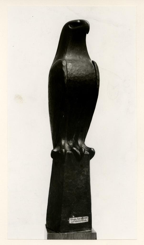 Anonimo , fronte
