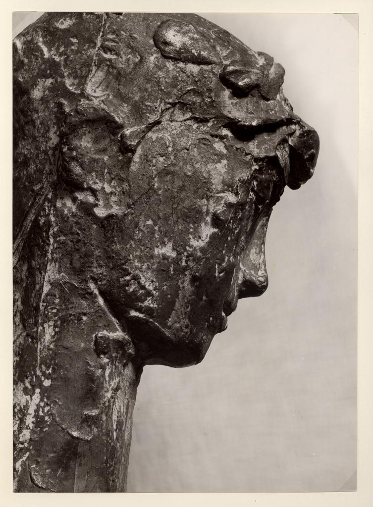 Anonimo , fronte