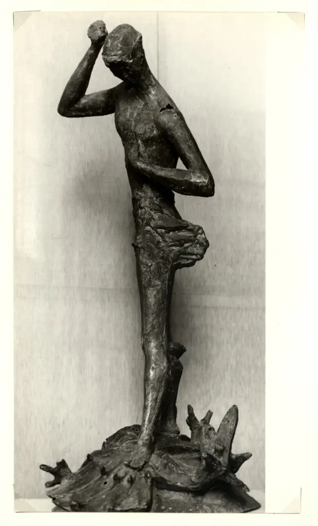 Anonimo, Anonimo , fronte