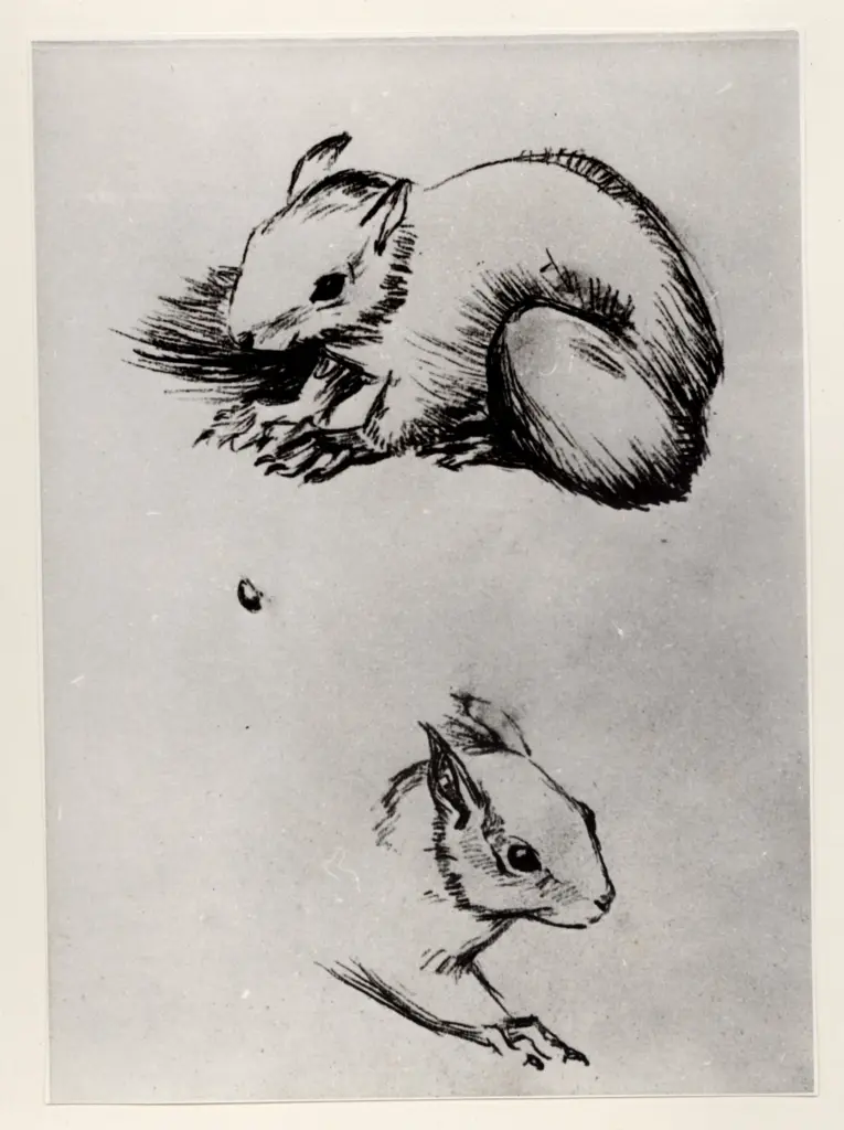 Anonimo, Anonimo , fronte