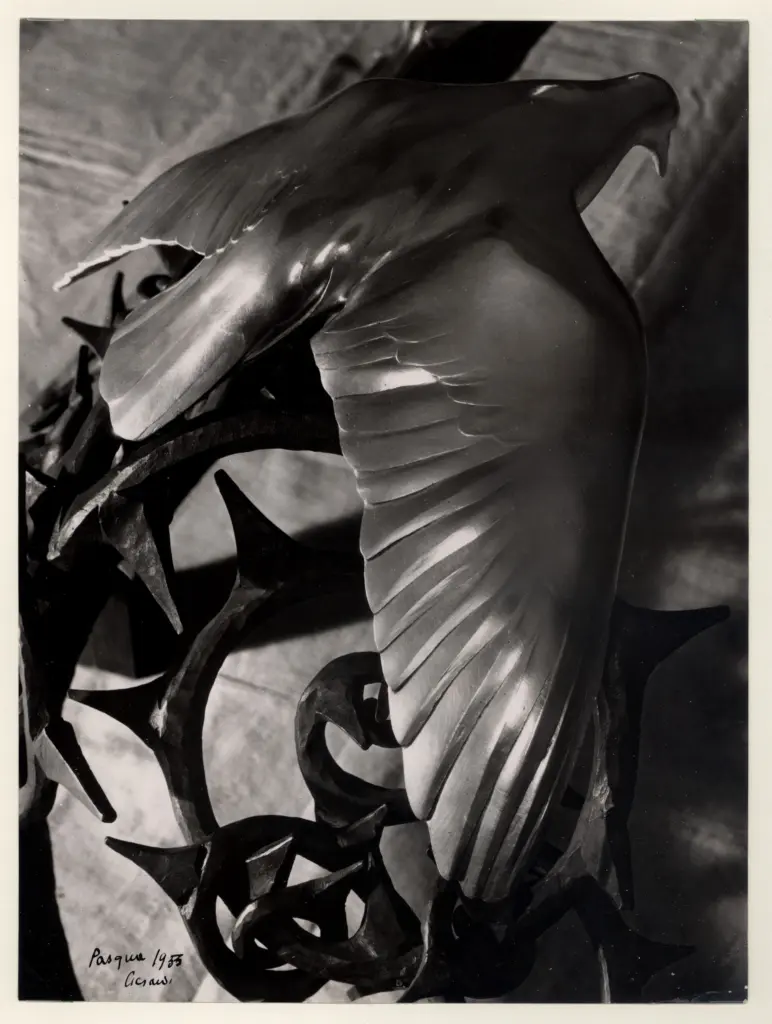 Anonimo, Anonimo , fronte