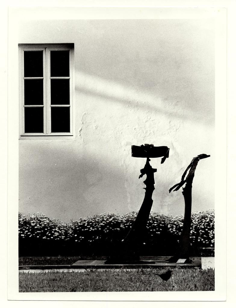 Cei, Enzo , fronte
