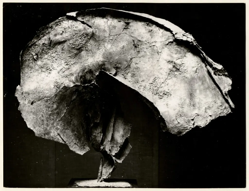 Ghermandi, Quinto - - , fronte