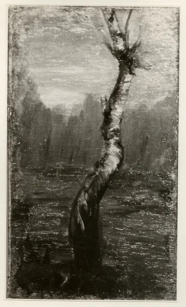 Giorgi, Anton Ruggero , La Betulla