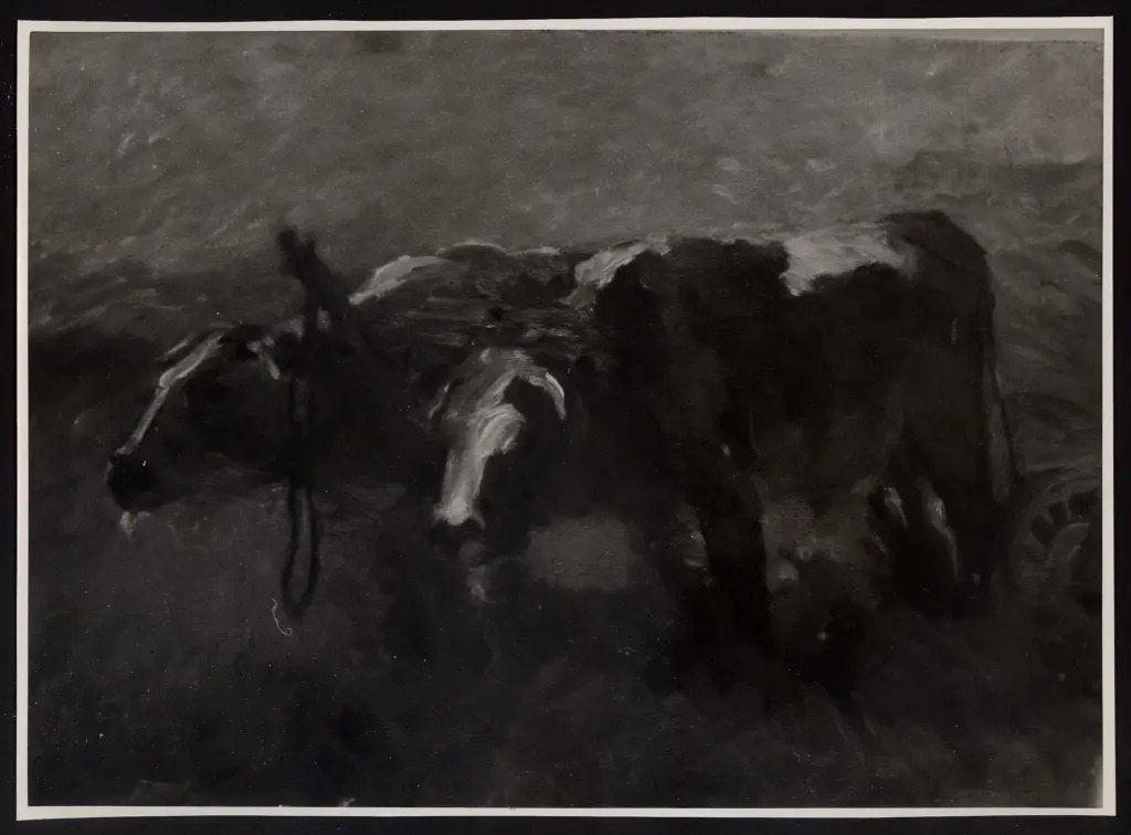 Giorgi, Anton Ruggero , Buoi al sole