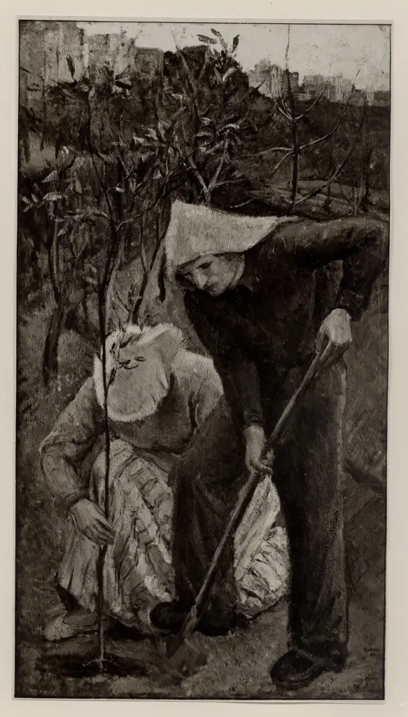 Giacomelli , Girosi, Franco - sec. XX - Il trapianto , fronte